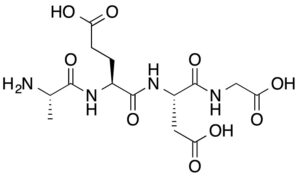 Buy Epithalon 10mg and see how it affects the body